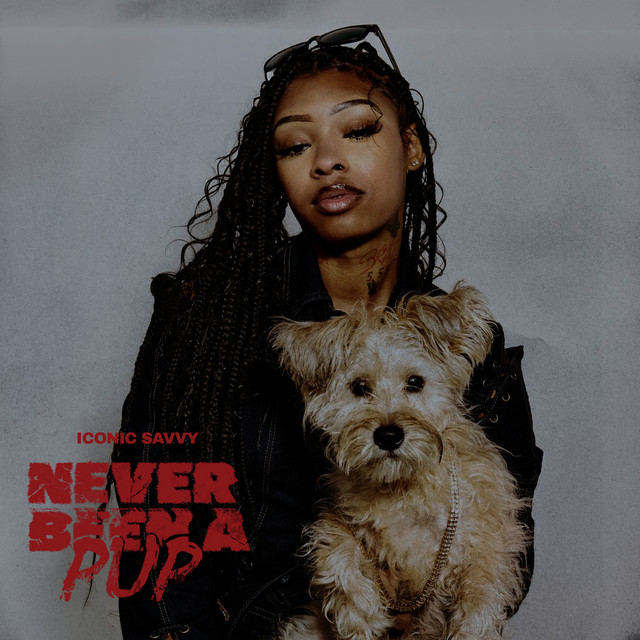 NEVER BEEN A PUP cover art