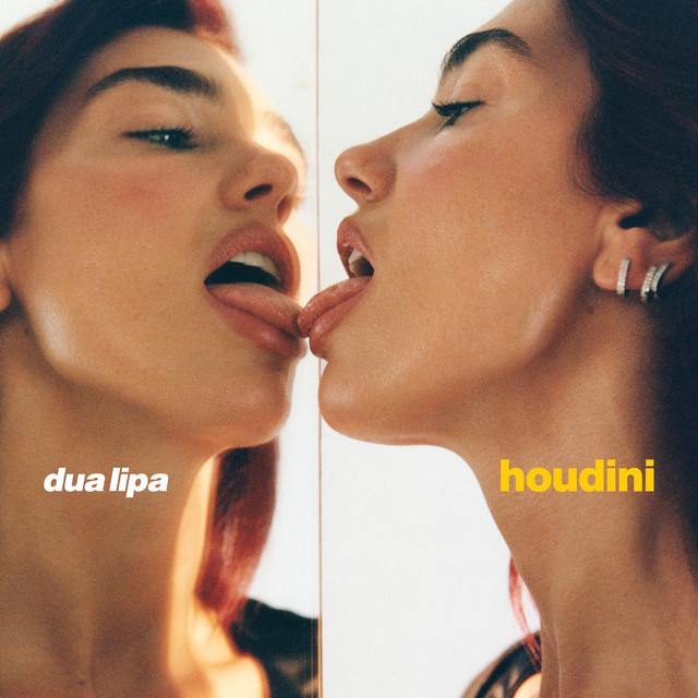 Album artwork for Houdini - Adam Port Mix by Dua Lipa