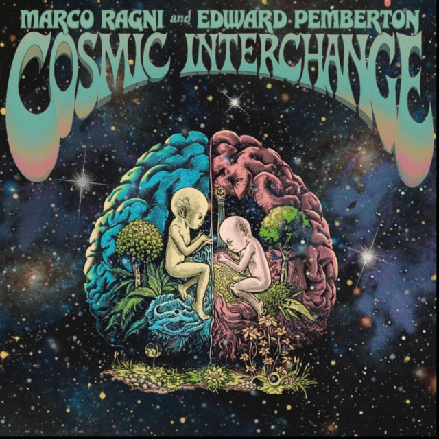 Cosmic Interchange album image