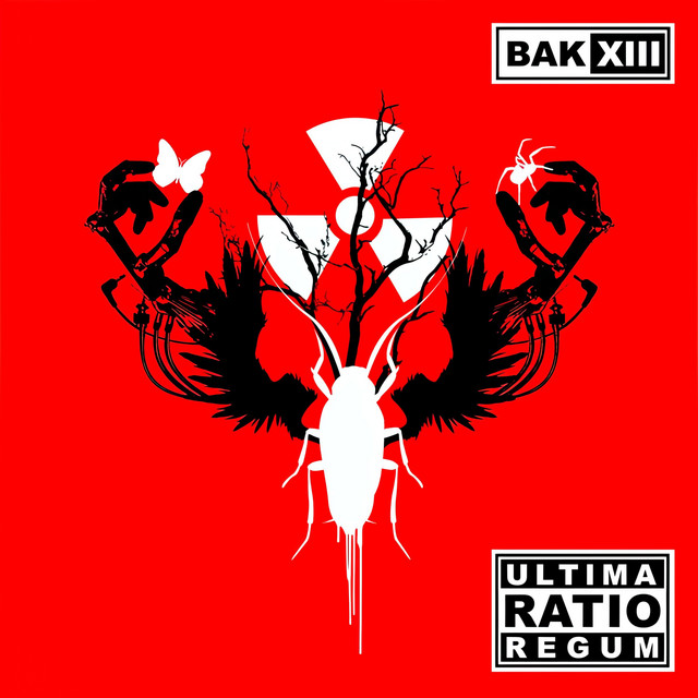 Ultima Ratio Regum cover art