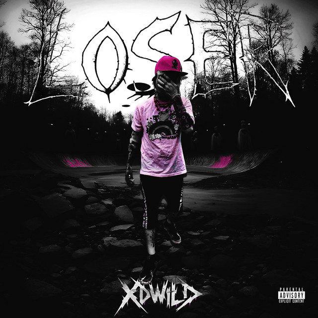 LOSER cover art