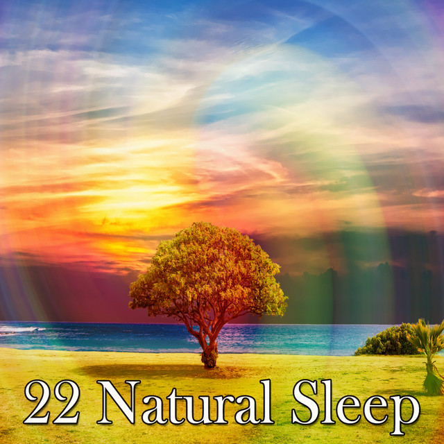 22 Natural Sleep - Album by Nature Sounds Artists | Spotify