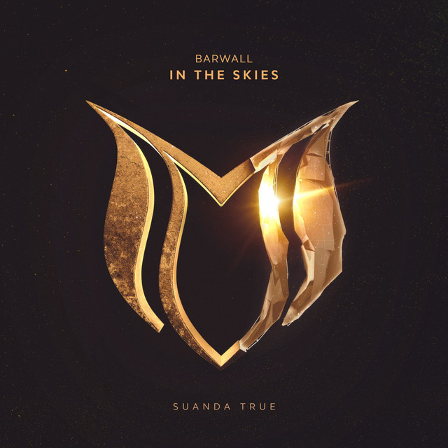 In The Skies cover art
