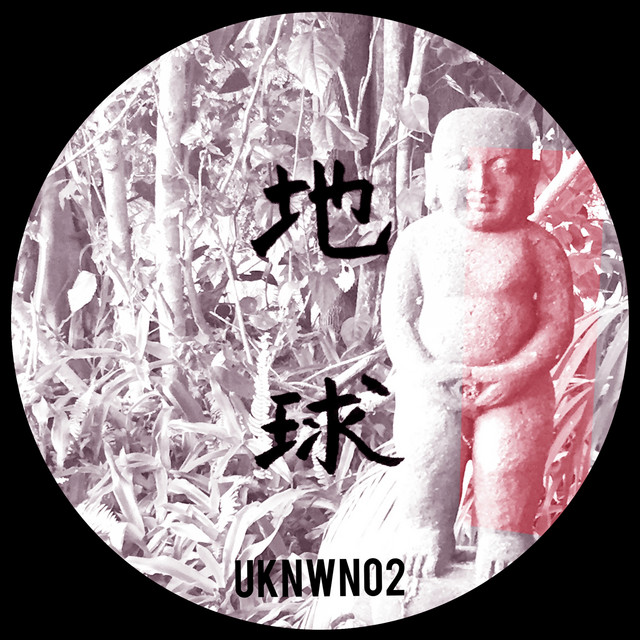 Unknown 02 cover art