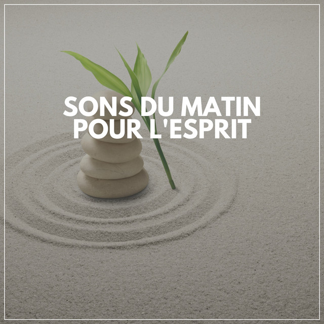 Sons Du Matin Pour L'esprit
