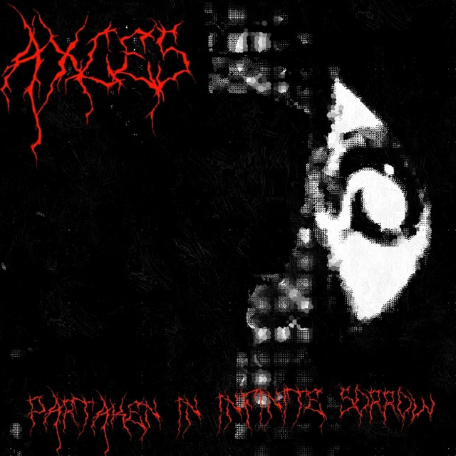Partaken In Infinite Sorrow cover art