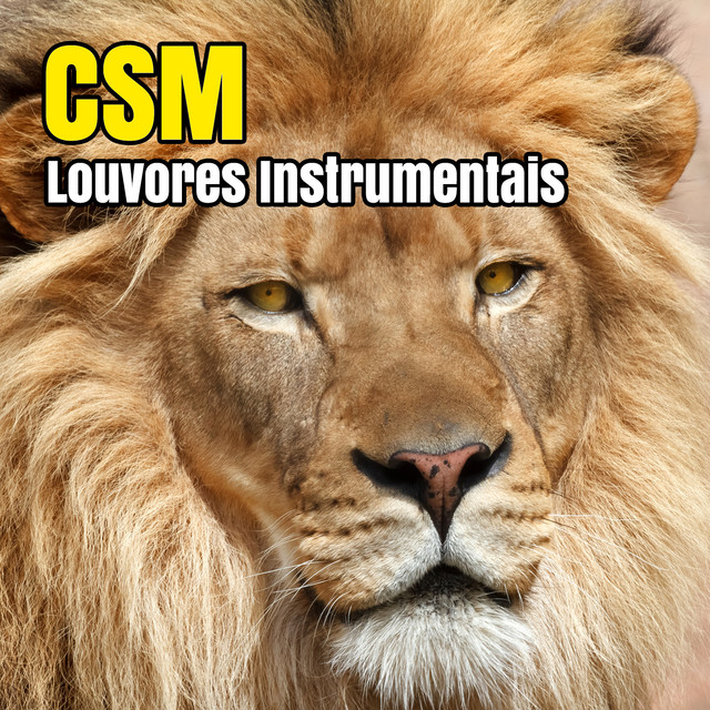 Louvores Instrumentais cover art