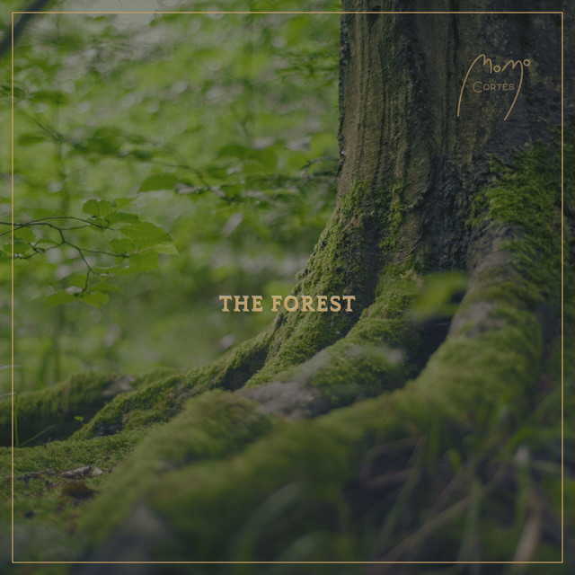 The Forest cover