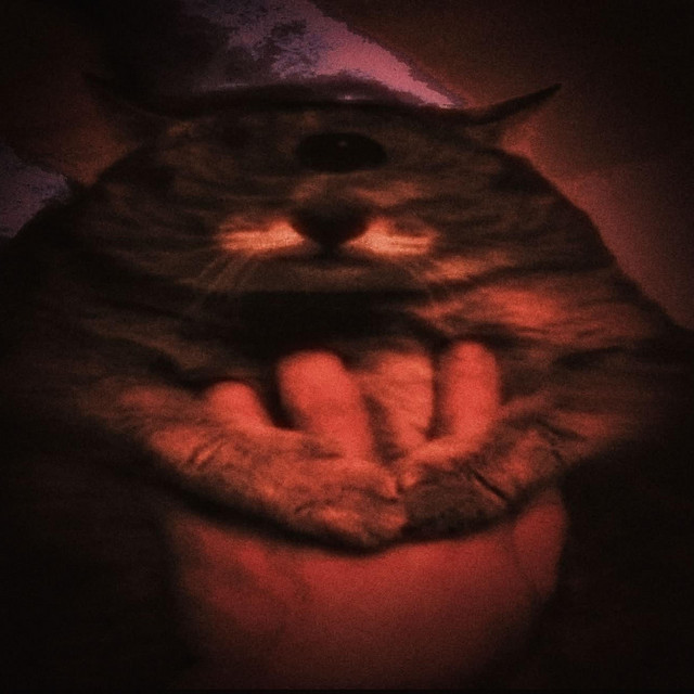 im really fucked up I hope you notice that and I have dreams about this one eyed cat it pisses me off