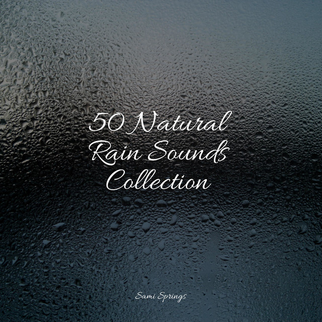 50 Natural Rain Sounds Collection - Album by Sons da Natureza | Spotify