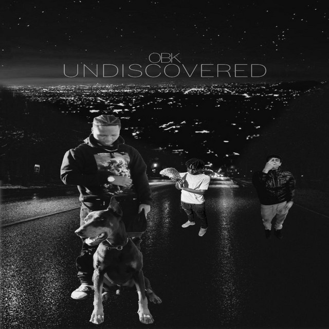 UNDISCOVERED cover art