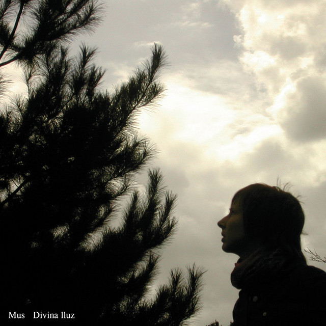 Divina Lluz cover art