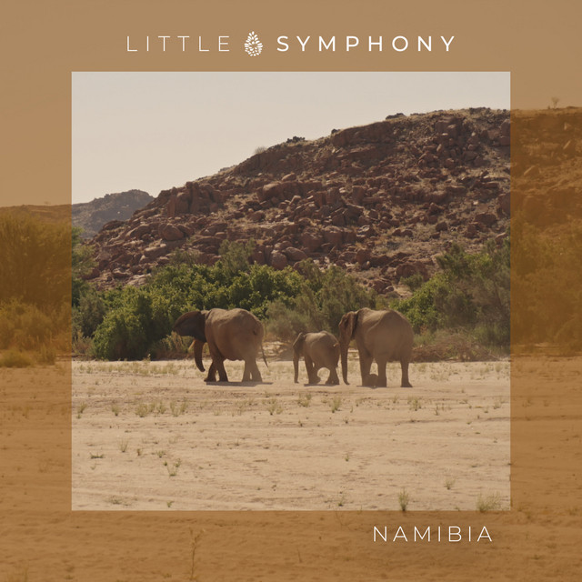 Namibia album image