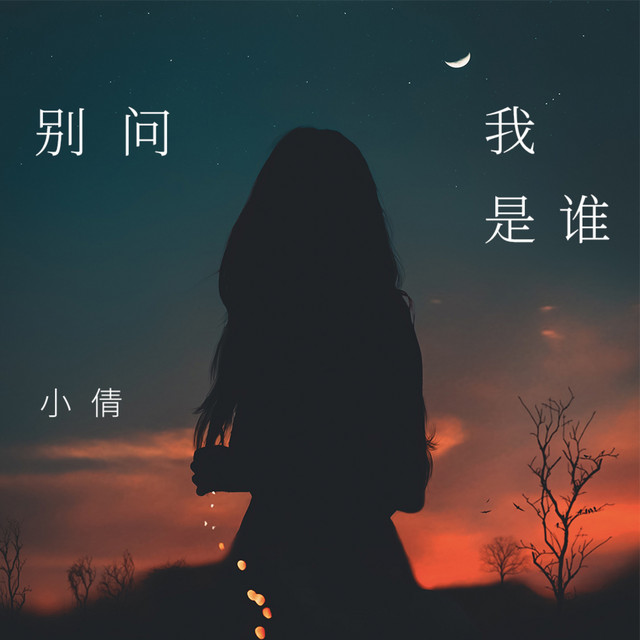 别问我是谁 cover