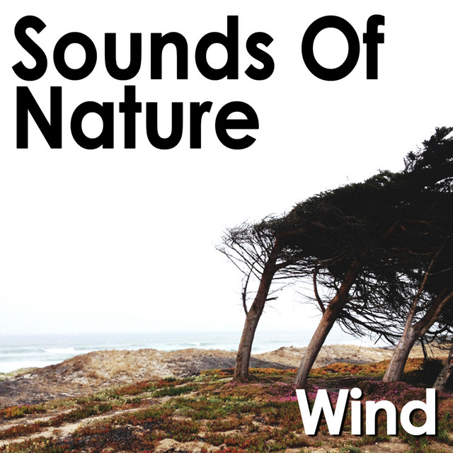 Sounds of Nature: Wind - Album by Pro Sound Effects Library | Spotify