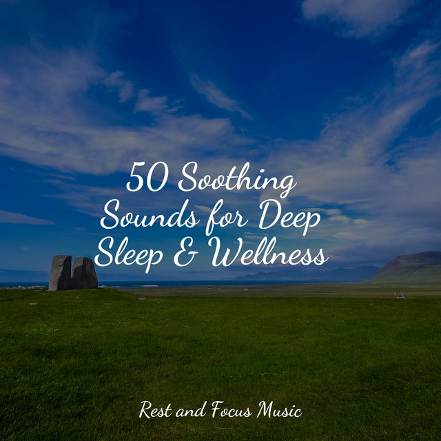 50 Soothing Sounds for Deep Sleep & Wellness - Album by ...