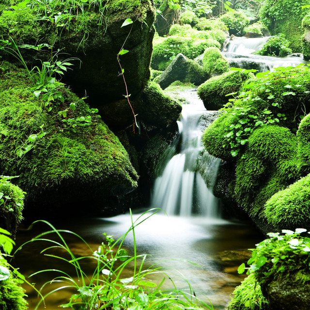 Enchanted Lands of Green / Yoga Experience, Be Calm cover art