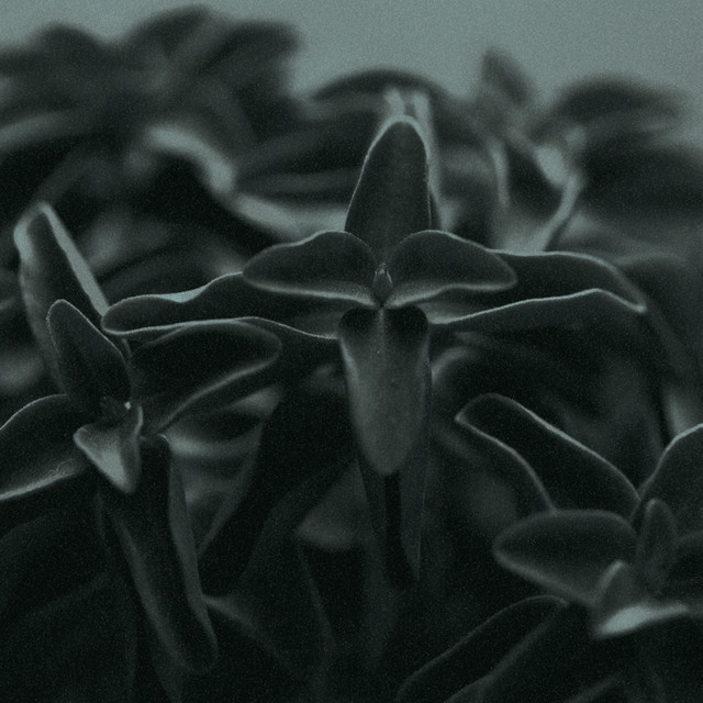 Diluvium cover art