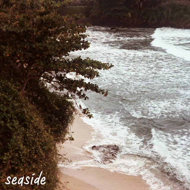 seaside cover art