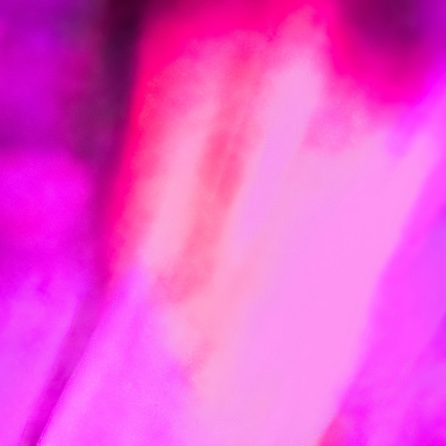 I Might Disappear cover art