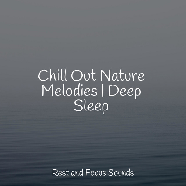 Chill Out Nature Melodies | Deep Sleep - Album by Instrumental | Spotify