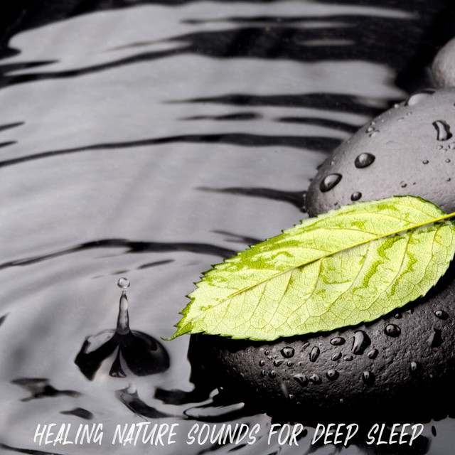 Healing Nature Sounds for Deep Sleep - Album by Sleep Sounds of Nature ...