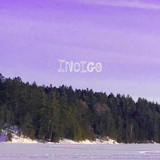 Indigo cover art