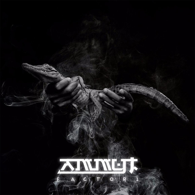 Ammyt cover art