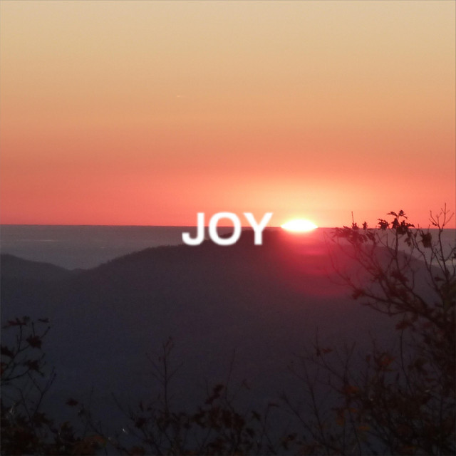 JOY cover art