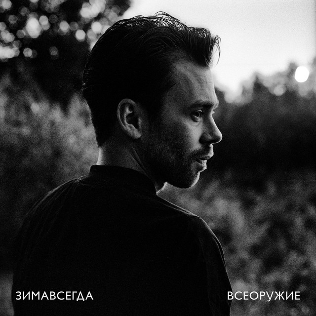 Всеоружие cover art