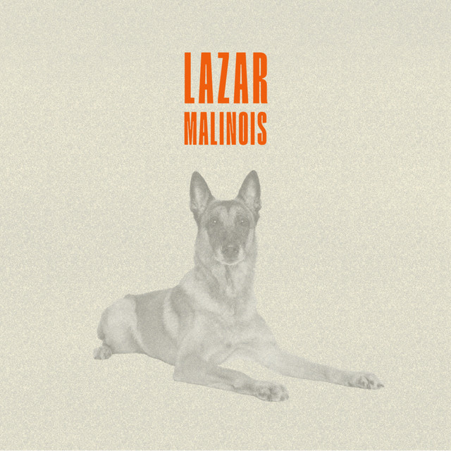Malinois