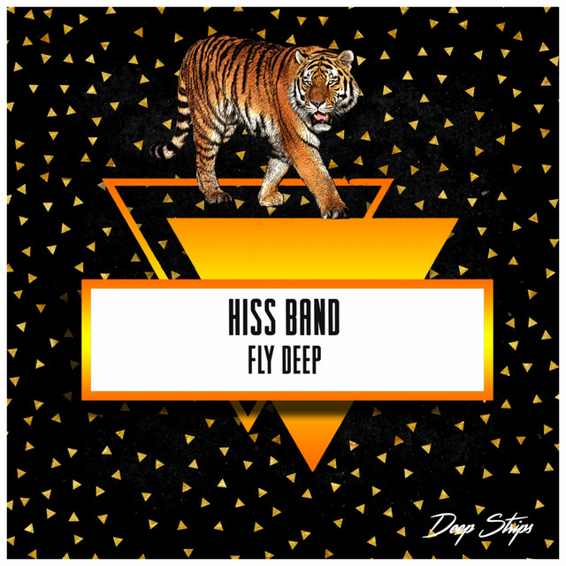 Fly Deep cover art