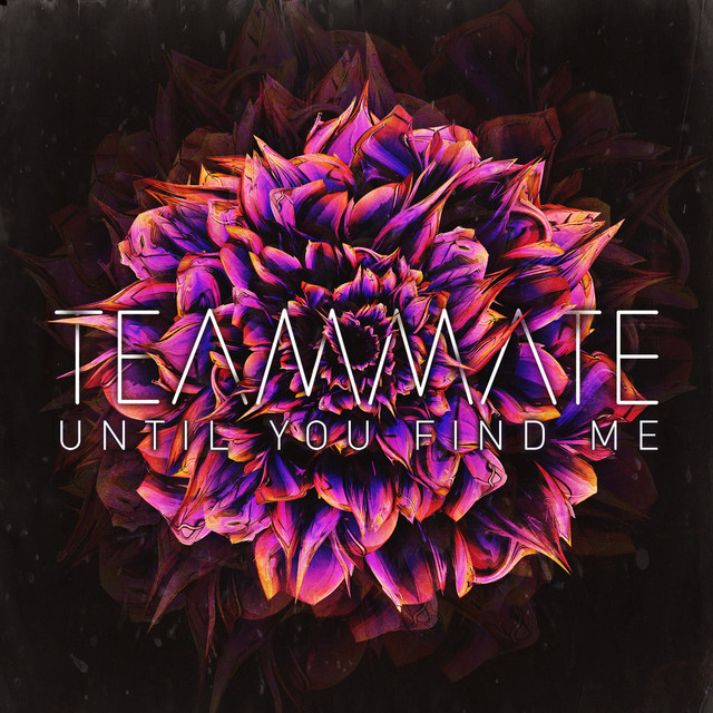Until You Find Me - TeamMate