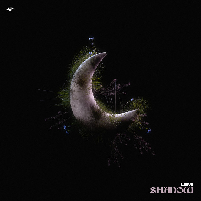 Shadow cover art