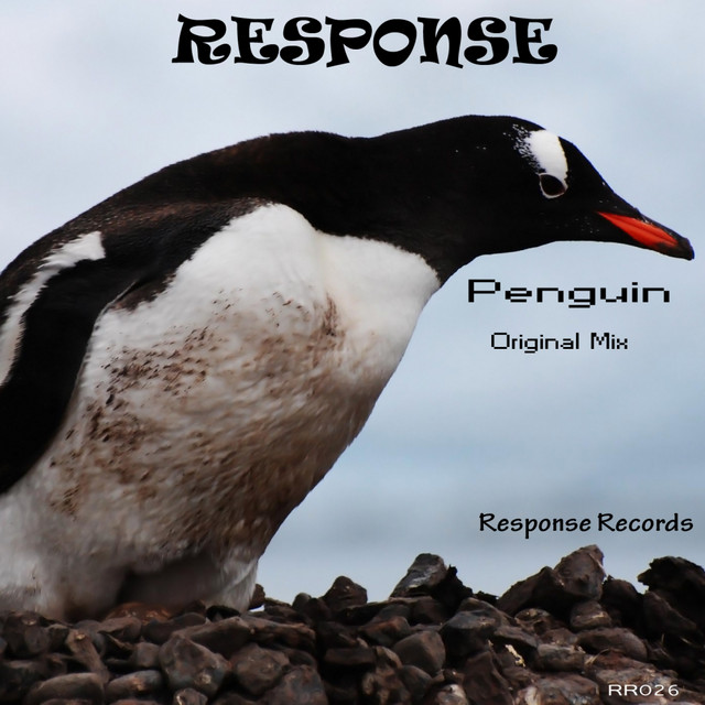 Penguin - Original Mix artwork