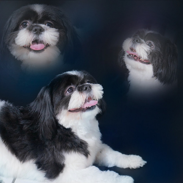 Miky album image
