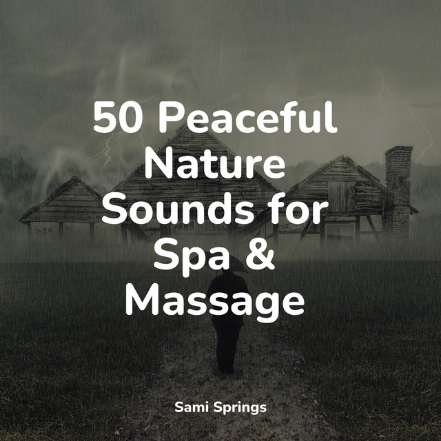 50 Peaceful Nature Sounds for Spa & Massage - Album by Music to Relax ...