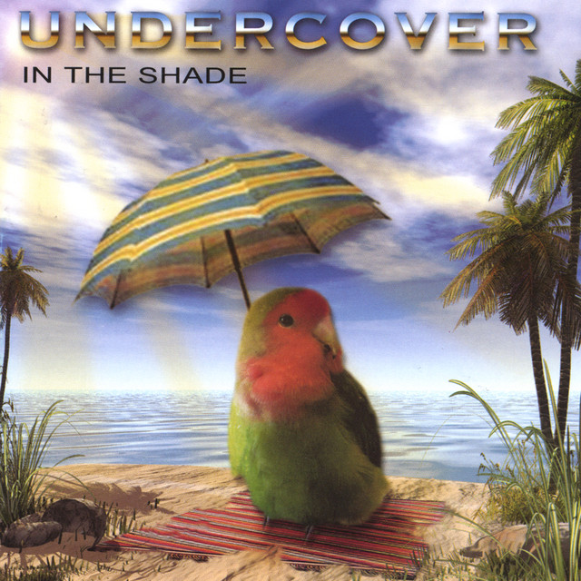 In The Shade cover art