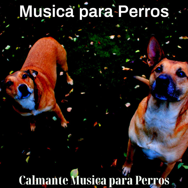 Calmante Musica para Perros - Album by Música para Perros | Spotify