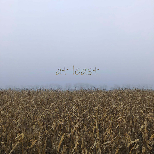 Обкладинка: At Least — Lanskyi