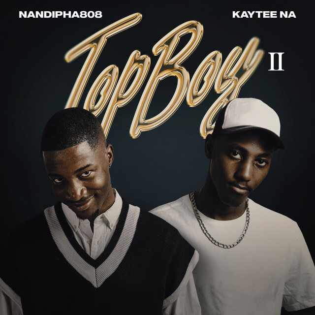 Uyaganga REAL STENA Song By Nandipha808 Spotify