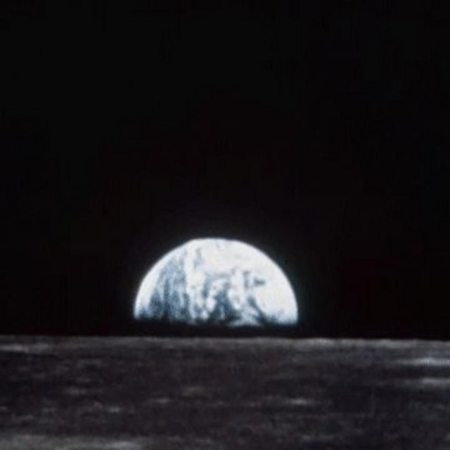 Terre cover art