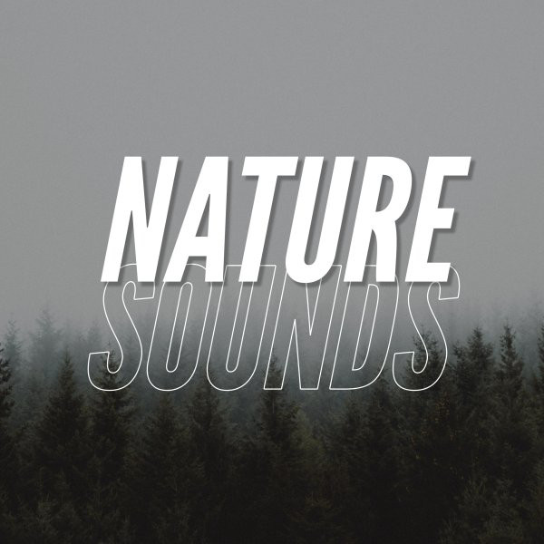 Nature Sounds cover art