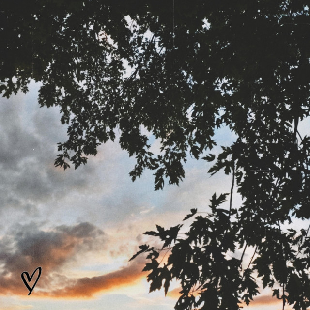 Drisson cover art