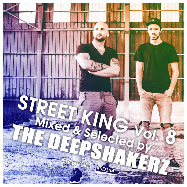 Street King, Vol. 8, Pt. 1 (DJ Mix) cover art