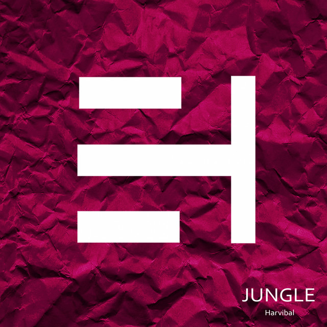 Jungle In The Space album art
