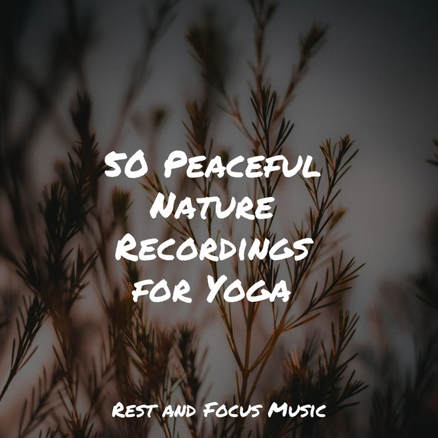 50 Peaceful Nature Recordings for Yoga - Album by Natureza Musica Bem ...