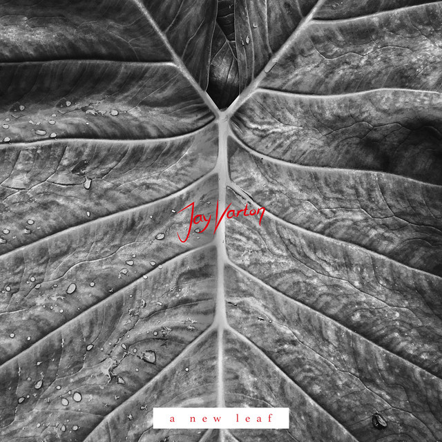 A New Leaf cover art