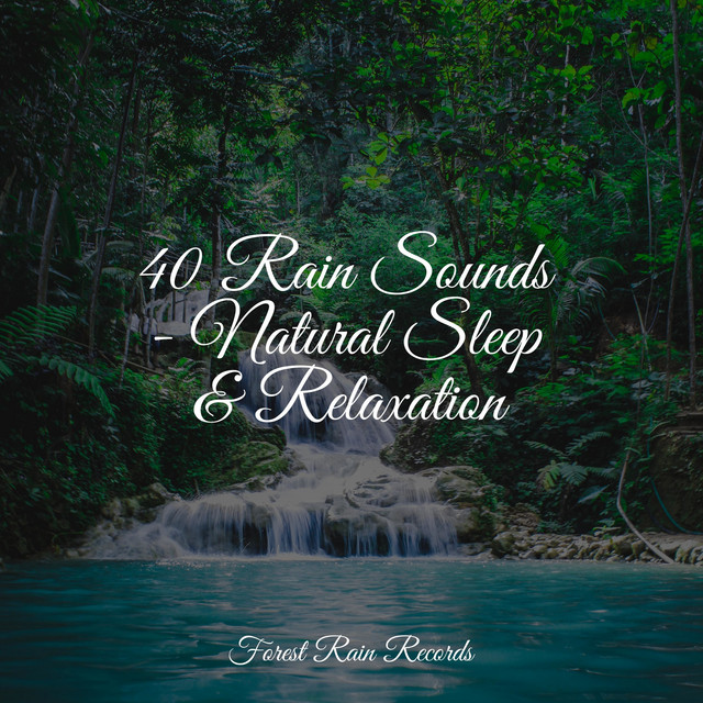 40 Rain Sounds - Natural Sleep & Relaxation - Album by Tibetan Singing ...
