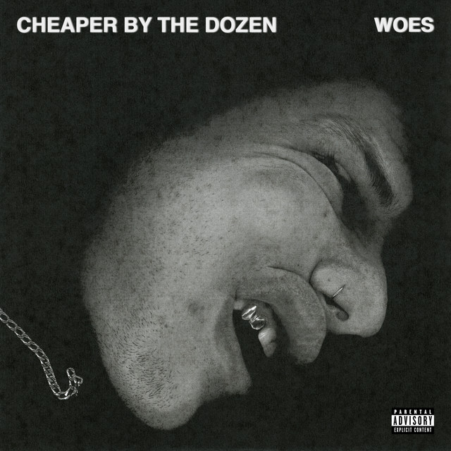 CHEAPER BY THE DOZEN cover art